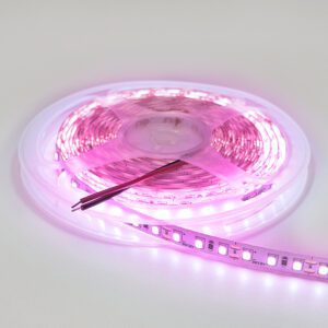 Светодиодная лента SMD 2835, 120led/m, 9.6W/m, 12V, IP20, Standart, Пурпурный, LP